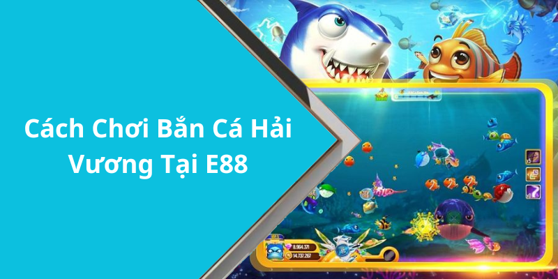 Cách Chơi Bắn Cá Hải Vương Tại E88