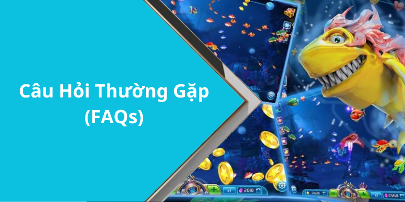 Câu Hỏi Thường Gặp (FAQs)