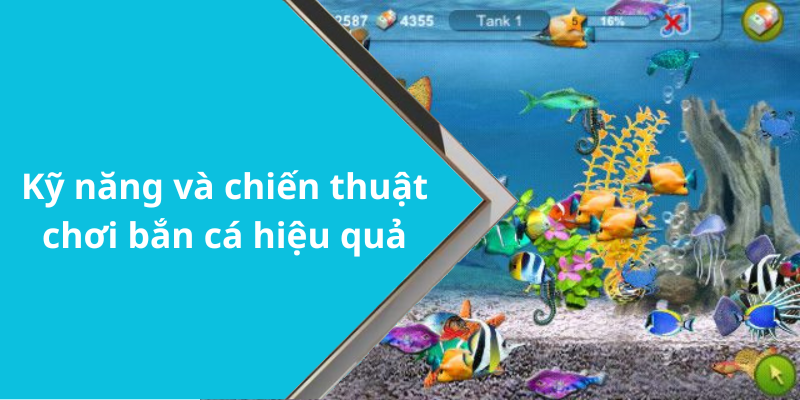 Kỹ năng và chiến thuật chơi bắn cá hiệu quả
