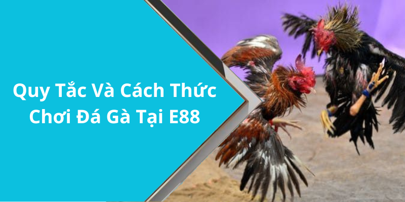 Quy Tắc Và Cách Thức Chơi Đá Gà Tại E88