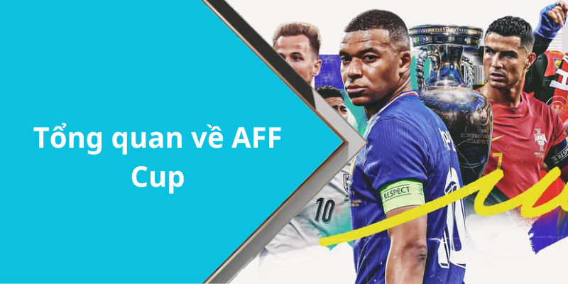 Tổng quan về AFF Cup