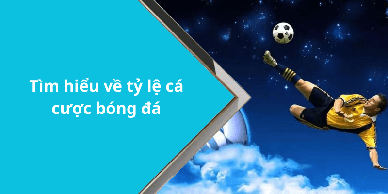 Tìm hiểu về tỷ lệ cá cược bóng đá
