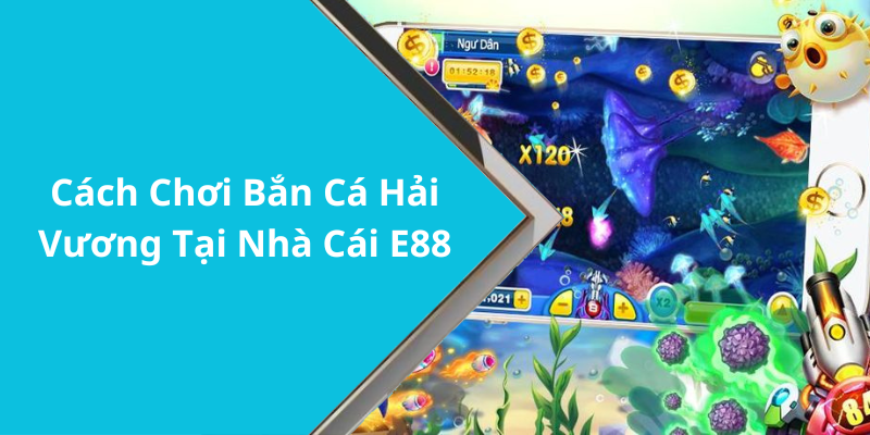 Cách Chơi Bắn Cá Hải Vương Tại Nhà Cái E88