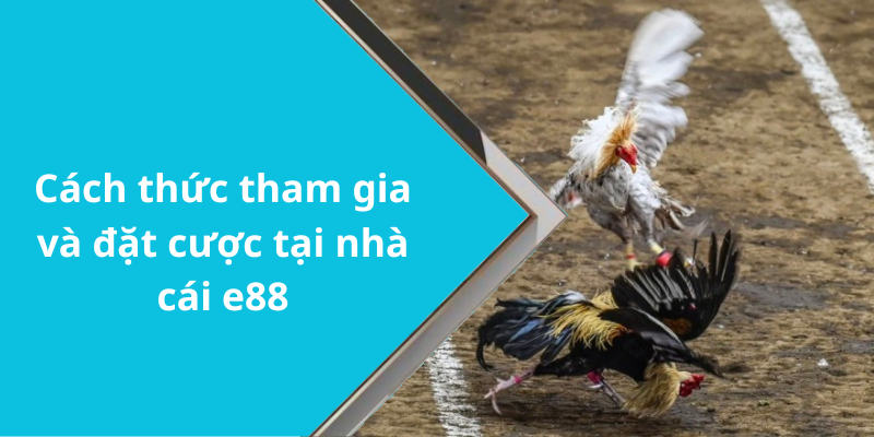 Cách thức tham gia và đặt cược tại nhà cái e88