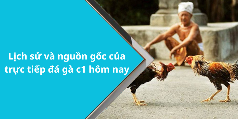 Lịch sử và nguồn gốc của trực tiếp đá gà c1 hôm nay