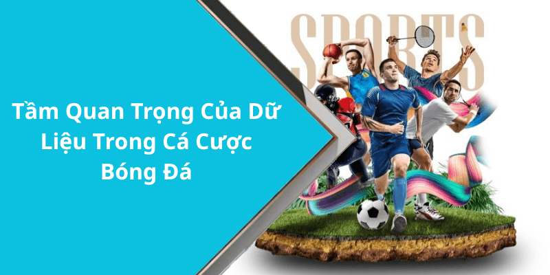Tầm Quan Trọng Của Dữ Liệu Trong Cá Cược Bóng Đá